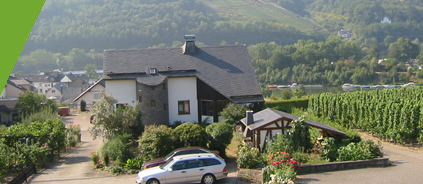 Ihr Feriendomizil am Rande der Kueser Weinberge